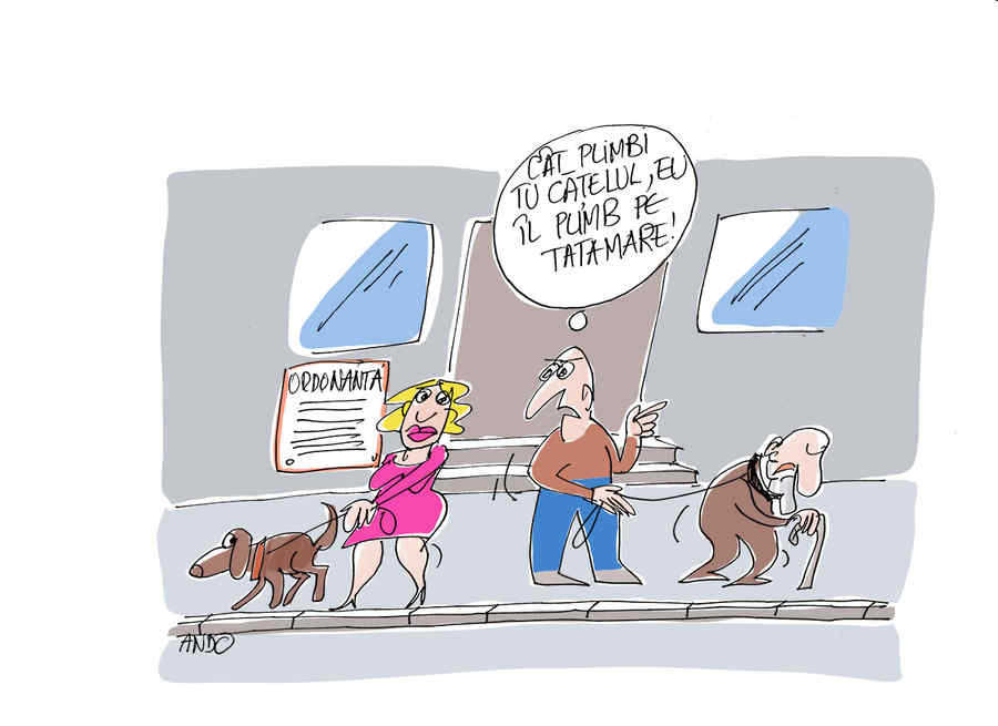 Program Guvernamental