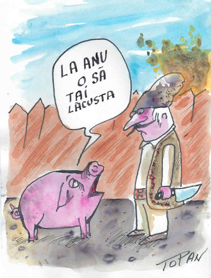 România lui Cristian Topan