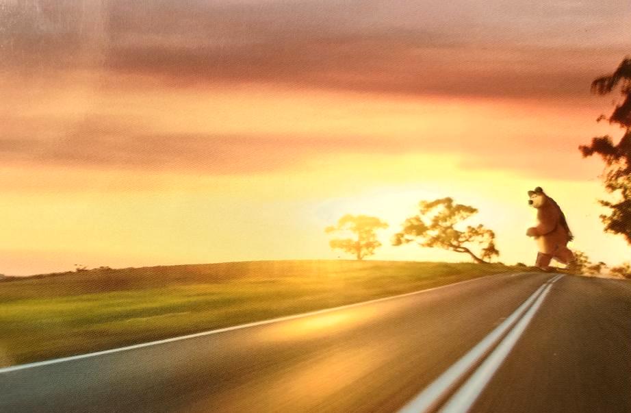 „Tunelele pentru şacali“