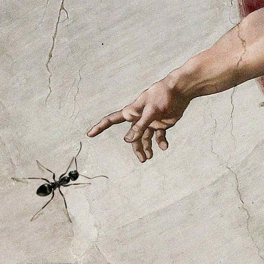 Dacă furnicile au un Dumnezeu al lor, am sfeclit-o!