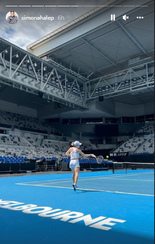 (FOTO) Unii cu mapa, Halep – cu sapa