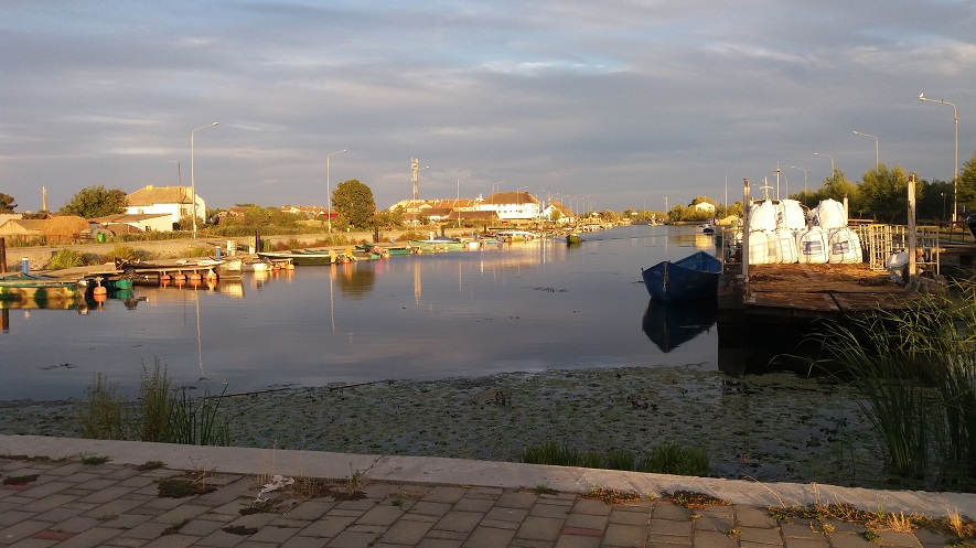 Ziua delfinului – SF politic