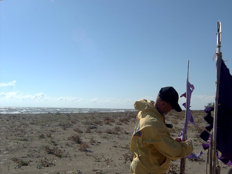 Steagurile de pe planeta Nibiru flutură din nou