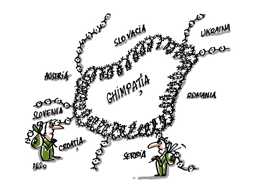 Ghimpația