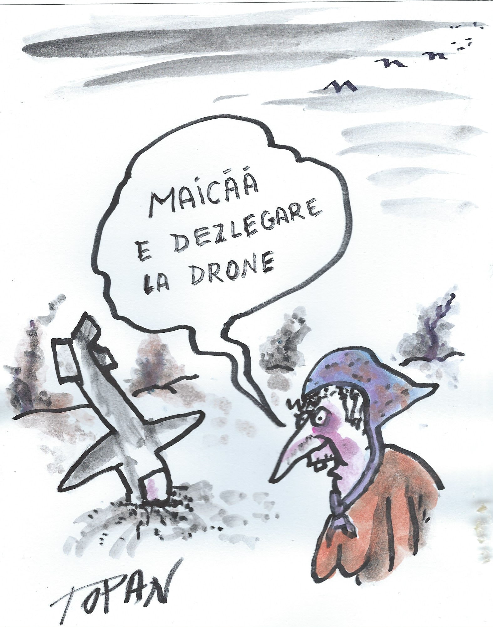 România lui Cristian Topan