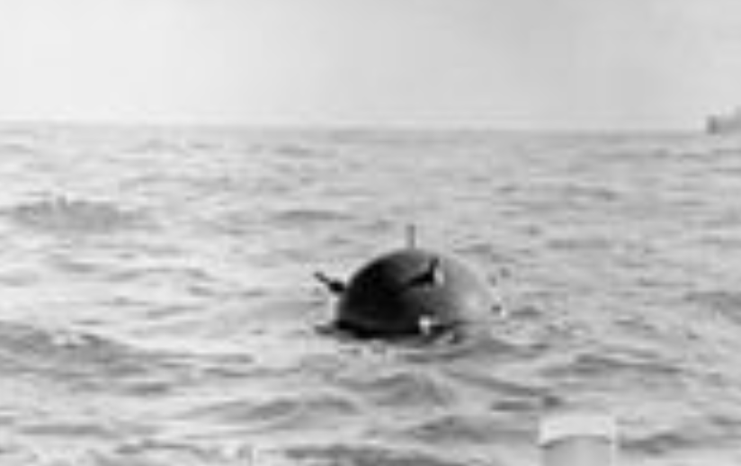 Greenpeace, despre Neptun Deep: „Sinucidere curată”