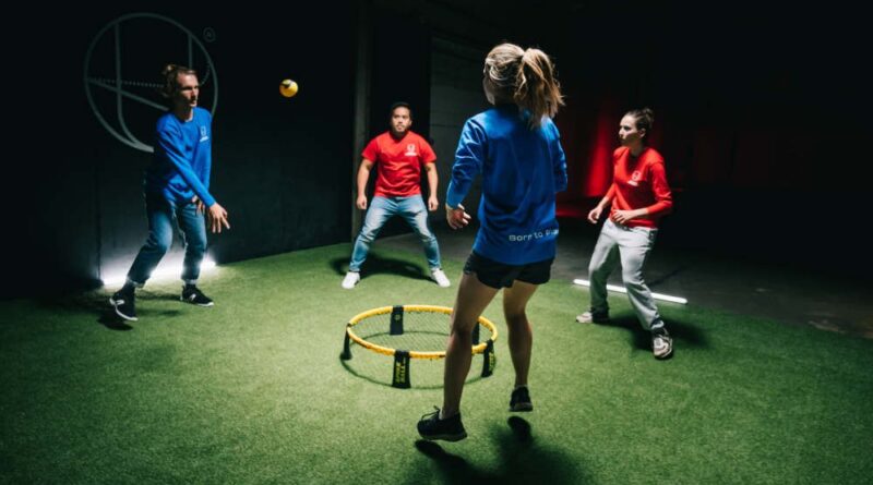 Poftiți la skateboard, arc istoric și roundnet