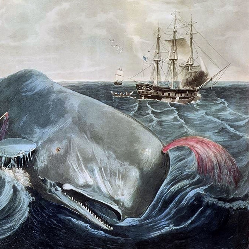 Niște marțieni nătăfleți fac spume la gură din pricina mea