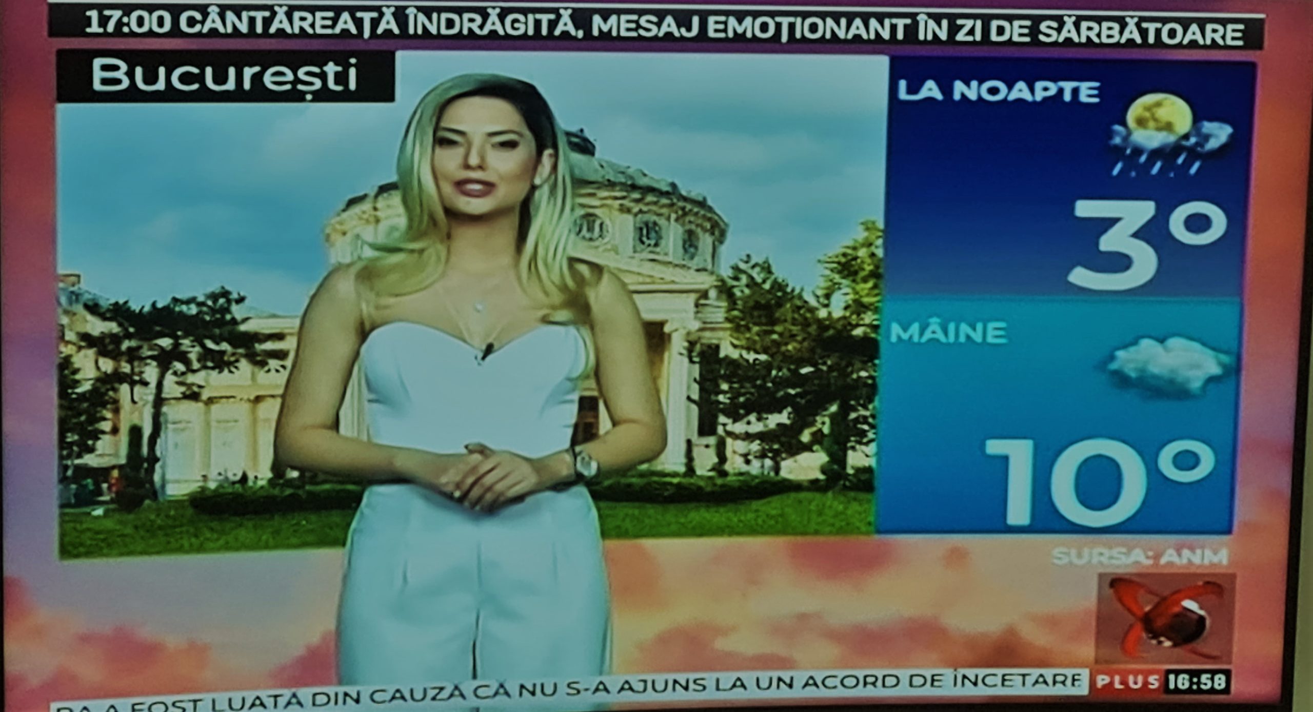 Roxana Niculae, între ridicol și campioană