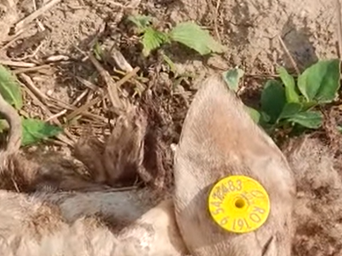 Anchetă. „Miroase ca pe front”, în apropiere de București