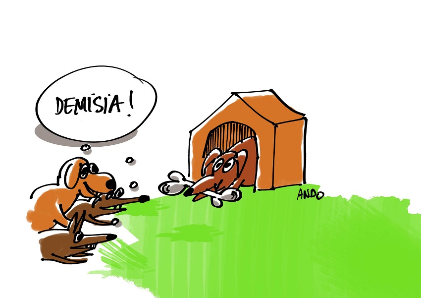 Apel democratic