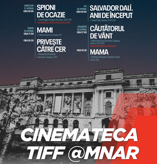 Se redeschide cinematograful de la MNAR