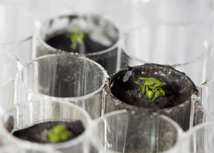 Reușită revoluționară!