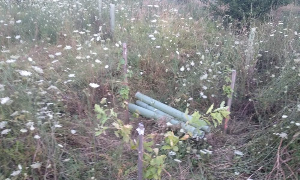 Asociația Parcul Natural Văcărești renunță la PMB