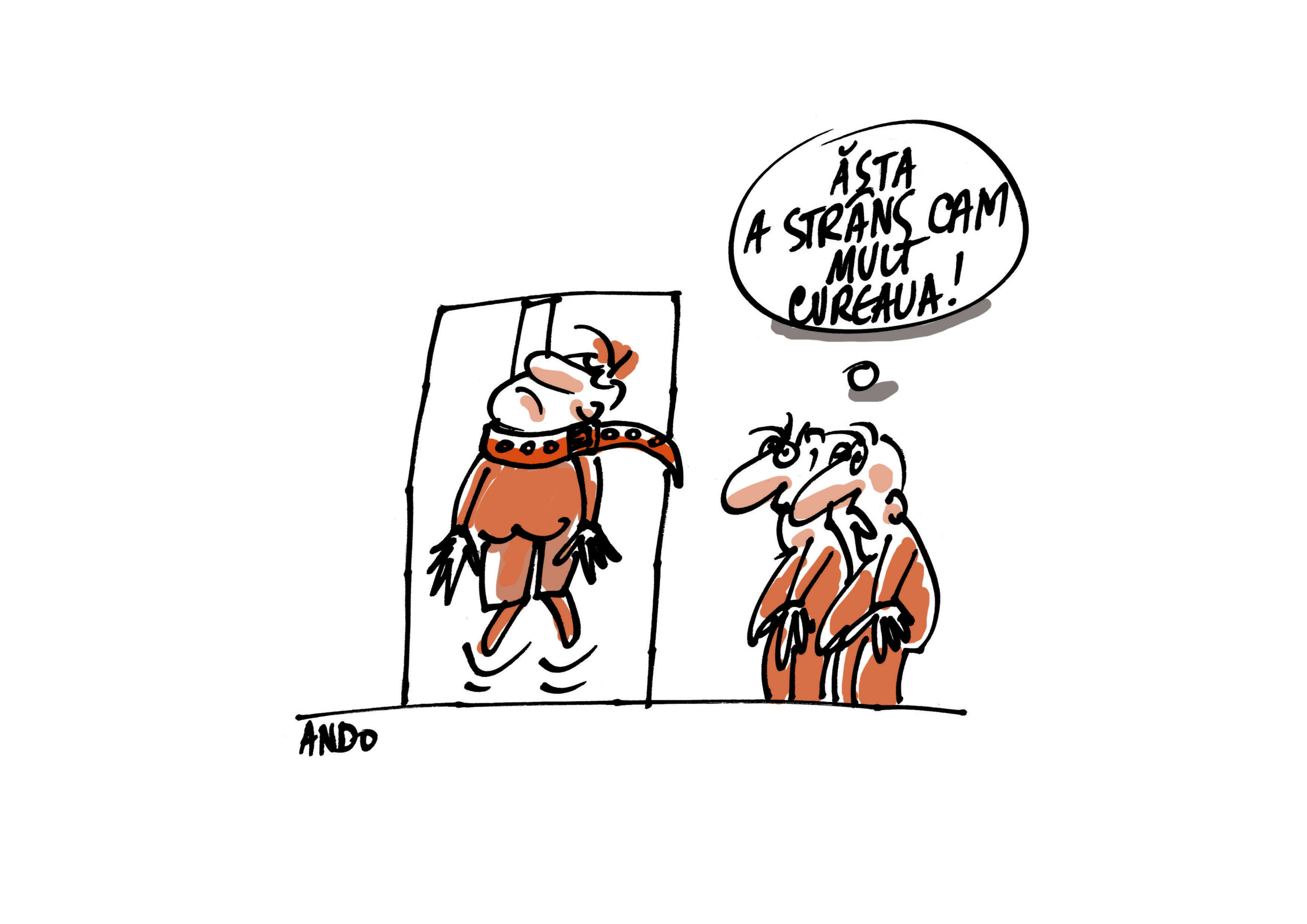 Excesele austerității