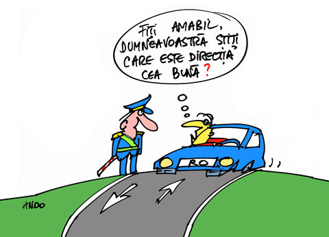 Sondaj de opinie
