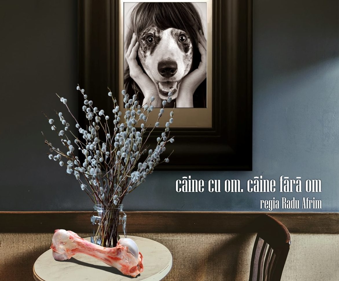 Spectacolele Naționalului craiovean din luna iunie
