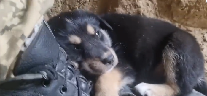 (VIDEO) Când te salvează bocancul pe front