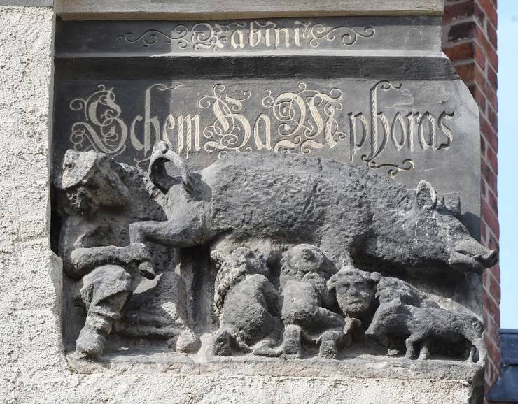 „Scroafa evreiască” supraviețuiește!