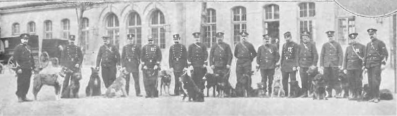 Dr. Nicolae Minovici și dresajul câinilor polițiști