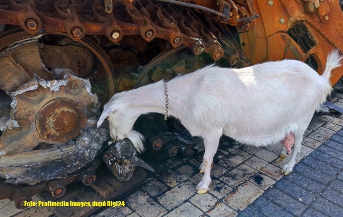 De la „Ghost” la „Goat” sau de la „fantoma din Kiev” la „capra din Kiev”