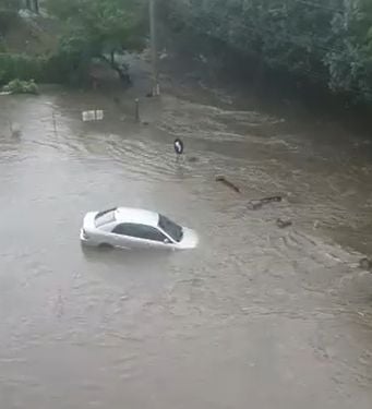 (VIDEO) Potopul, frate cu Craiova