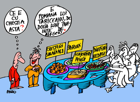 Caritate și pragmatism