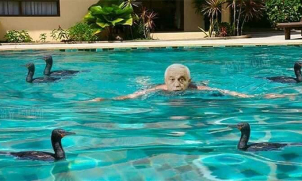 Cormorani din toate bălțile, uniți- vă!