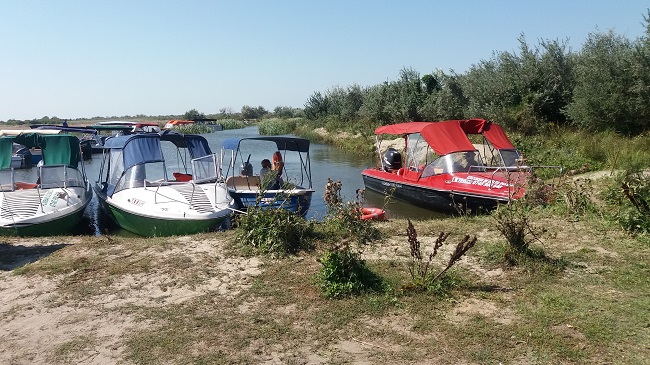 Ăia de pe litoral ne jecmănesc meserie, ce mai la deal, la vale – SF Politic