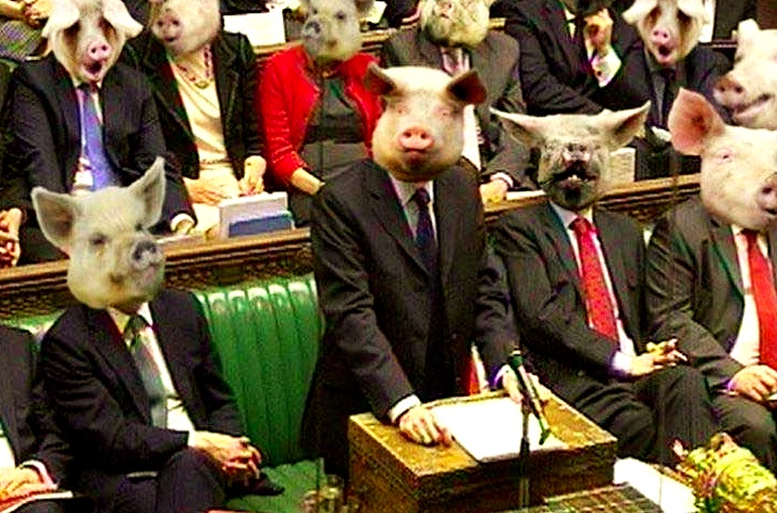 Despre confreria jivinelor