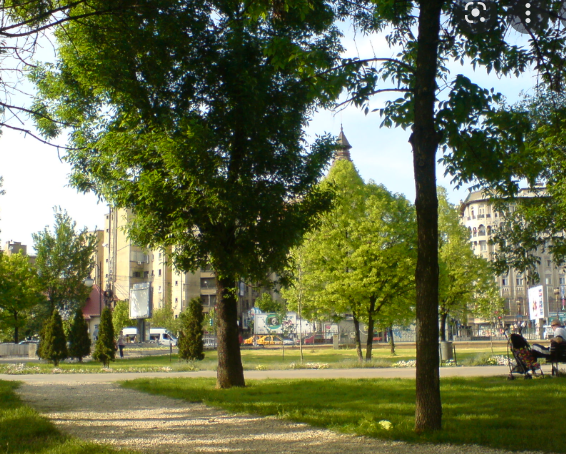 Firea: PSD refuză concesionarea parcului Izvor