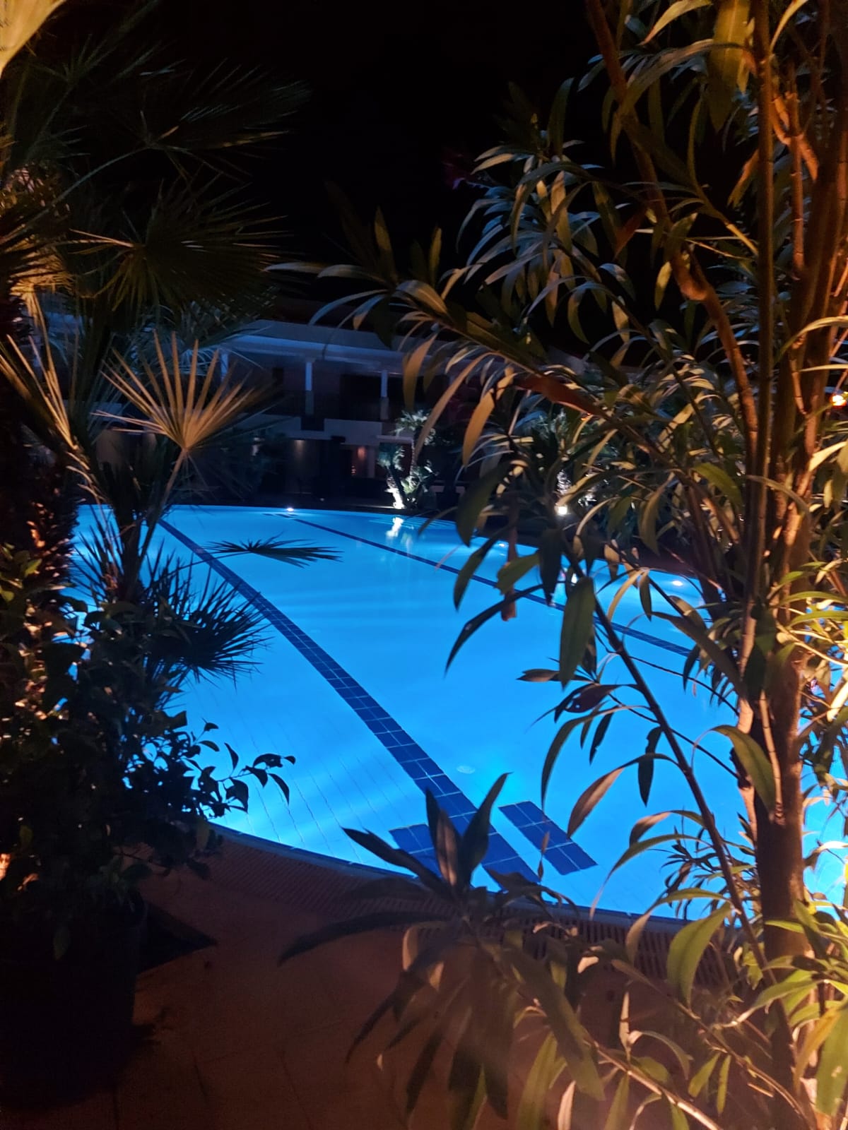 S-a redeschis celebrul club Vox Maris