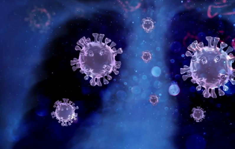 Unde a fost descoperit virusul poliomielitei