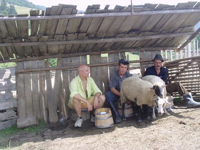Nimic nu e adevărat în politica asta de fațadă! – SF Politic