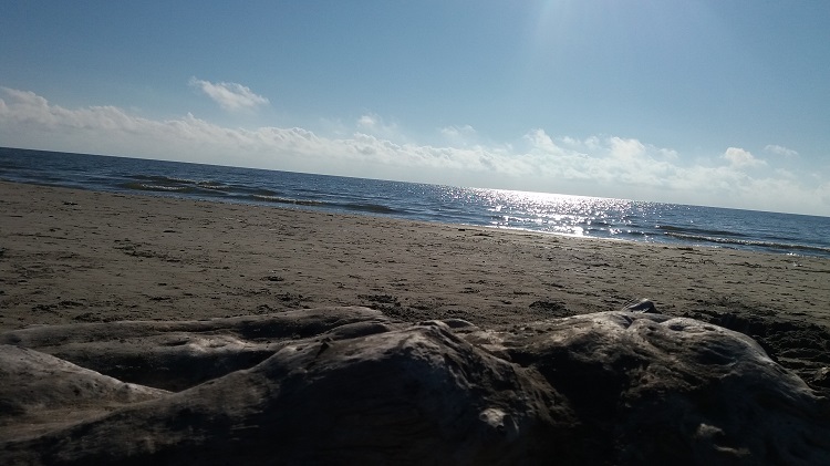 Parașutat – SF Politic