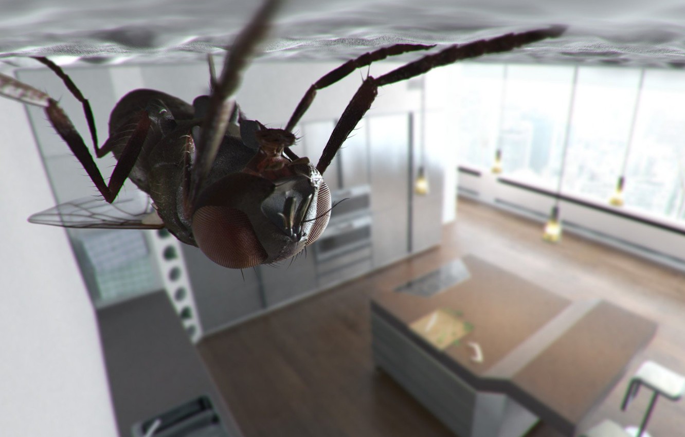 O muscă bâzâie pe tavan, Popescu își aprinde o țigară, se relaxează