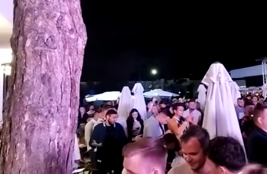 Nivelul tinerilor liberali: „M…, m… PSD”!