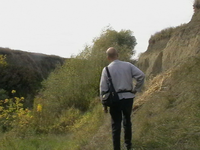 Pesediștii și peneliștii încep și ei să orăcăie în disperare de cauză – SF Politic