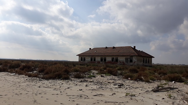 Protipendadă plină de aere şi de probleme insolubile, bănuitoare și foarte cicălitoare