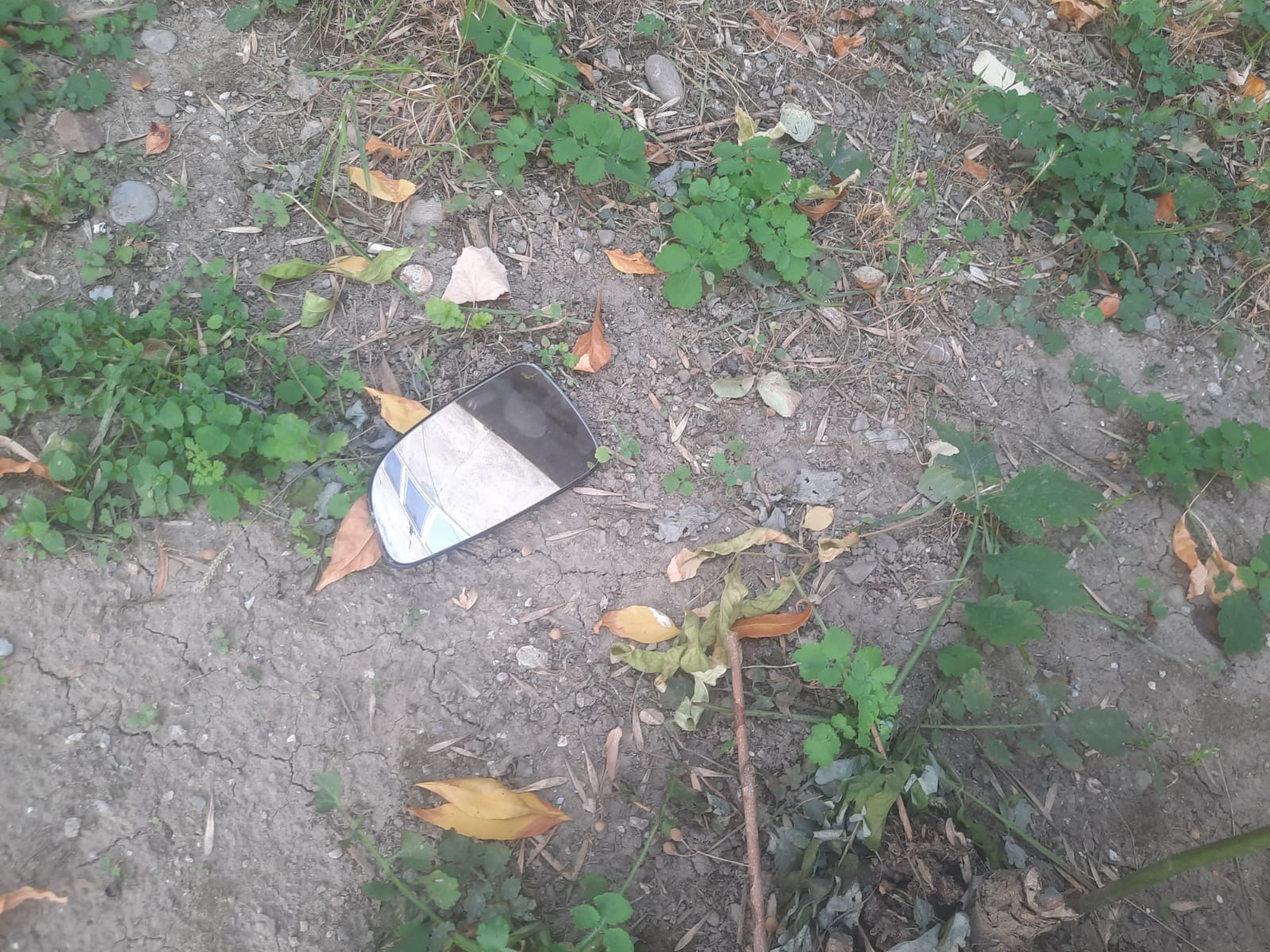 Vandalism la drumul mare