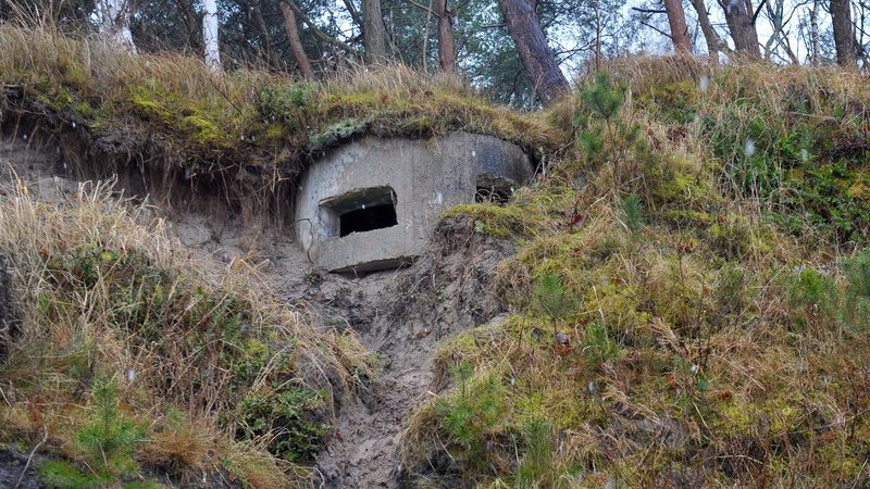 Polonia se pregăteşte pentru „cele mai negre scenarii”