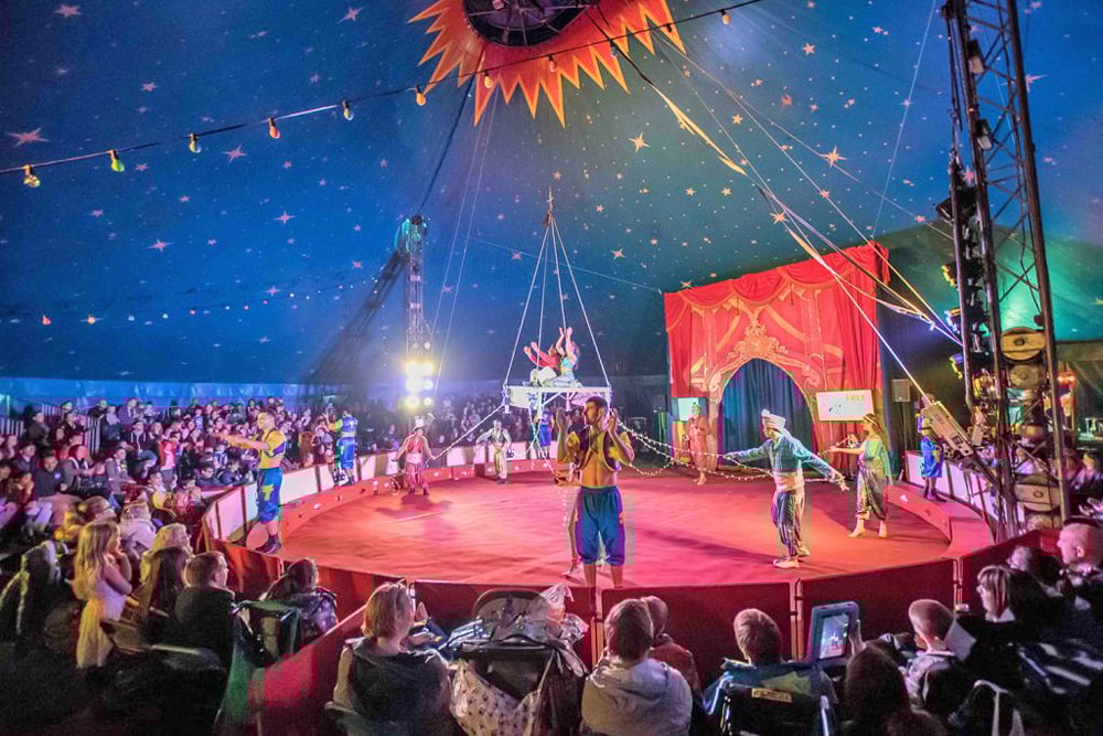 SF Politic – Cel mai Mare Om de știință dă de pământ cu toți ceilalți oameni de știință chiar acum