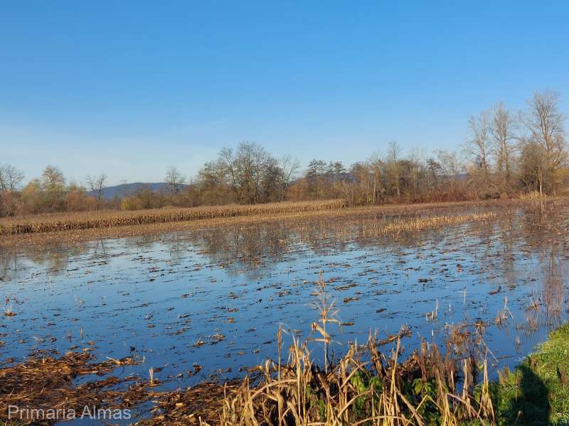 S-au întors inundațiile