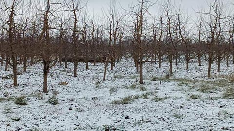 BREAKING O rachetă a căzut pe teritoriul Republicii Moldova
