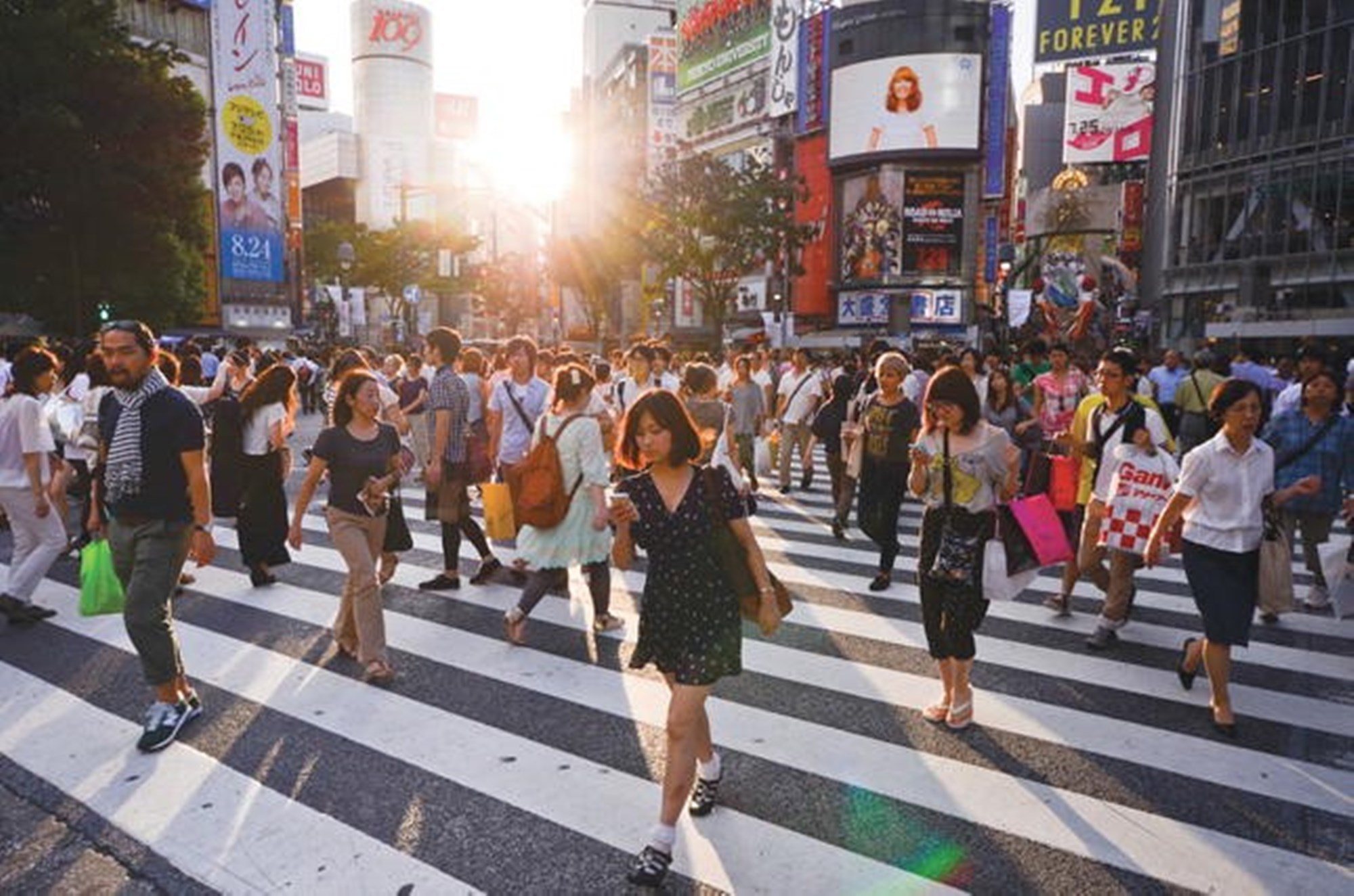 SF Politic – Jurnalul unui Președinte iubit de popor (3)