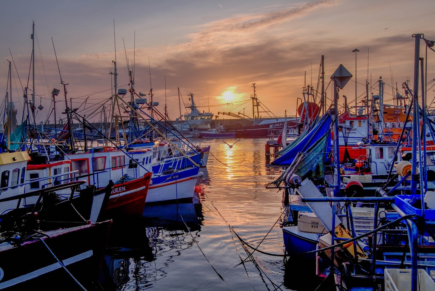 Parlamentul s-a autodizolvat în uralele mulțimilor dezlănțuite