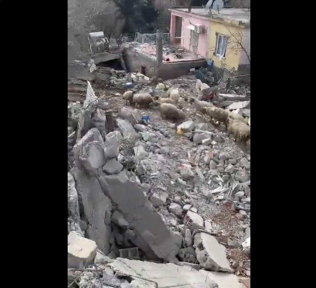 Un alt pericol bate la ușă