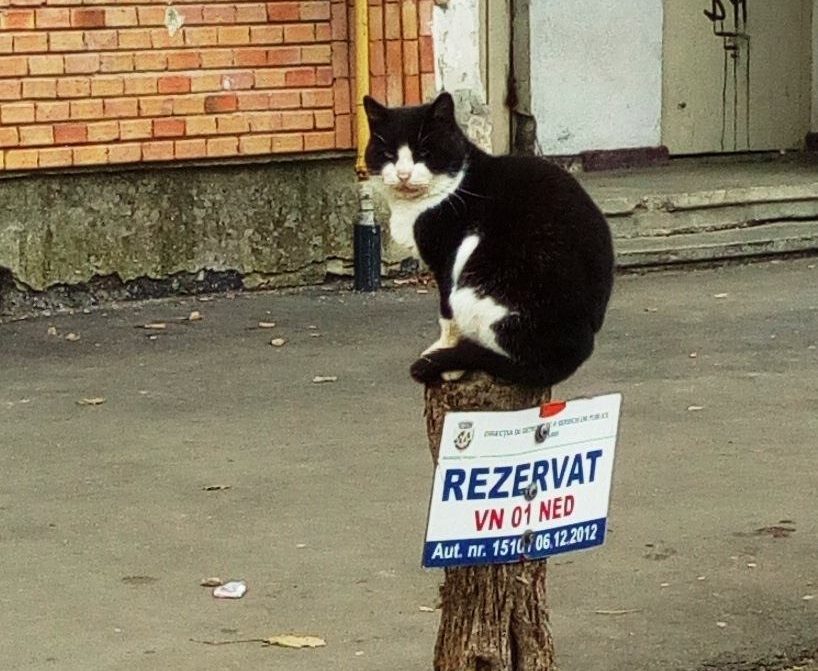 Candidat la Președinție, supravegheat de Serviciile Secrete Marțiene