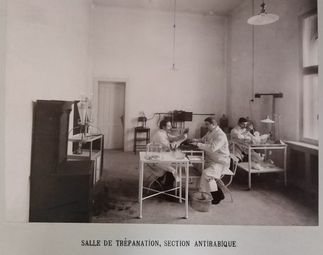 Rolul lui Victor Babeș în modernizarea Bucureștilor