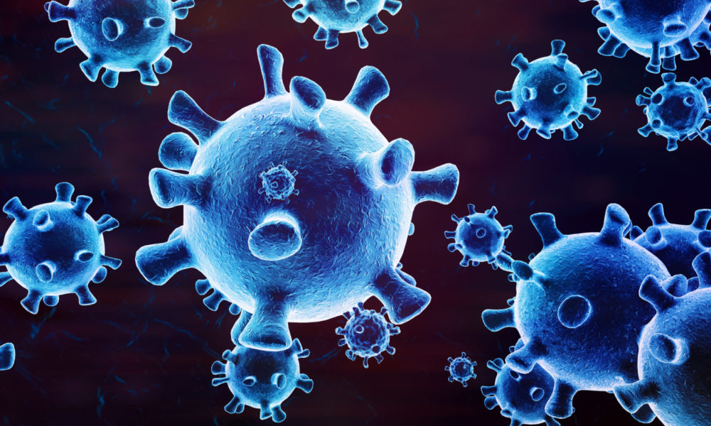 Virusul mortal Marburg în Europa, alarmă falsă (Update)